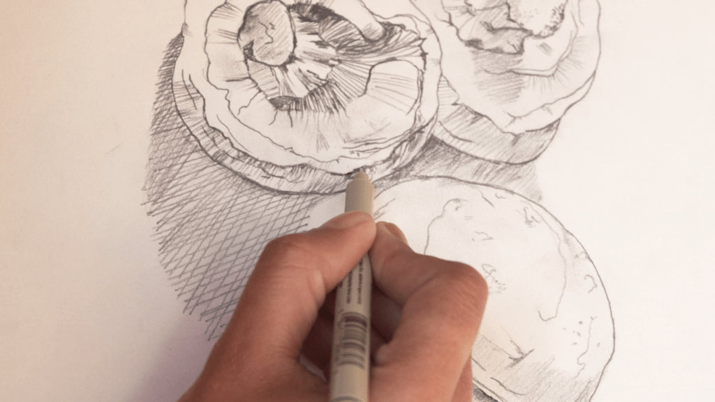 Master the Art of Cross Hatching Techniques to Enhance Your Drawings