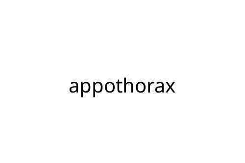 appothorax