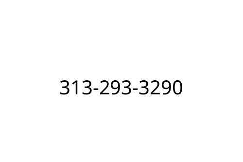 313-293-3290