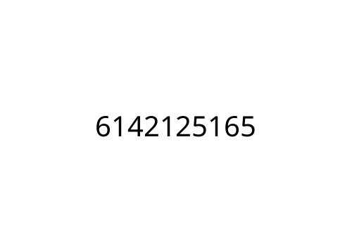 6142125165