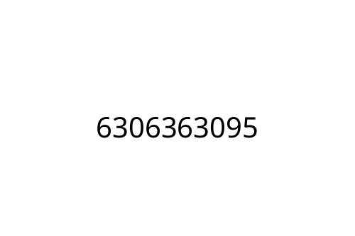 6306363095