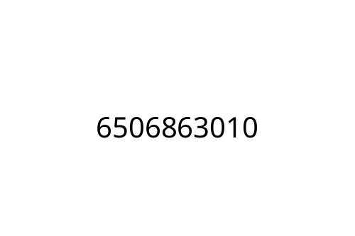 6506863010