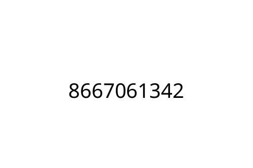 8667061342