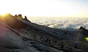 arcachdir gallery paintings from arcyart