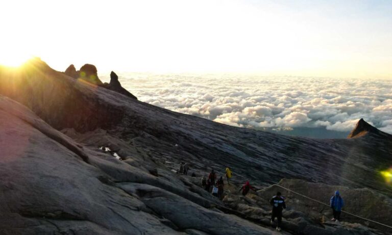 arcachdir gallery paintings from arcyart