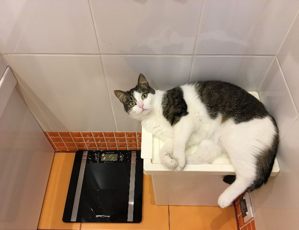 arcahexchibto art listings from arcyart