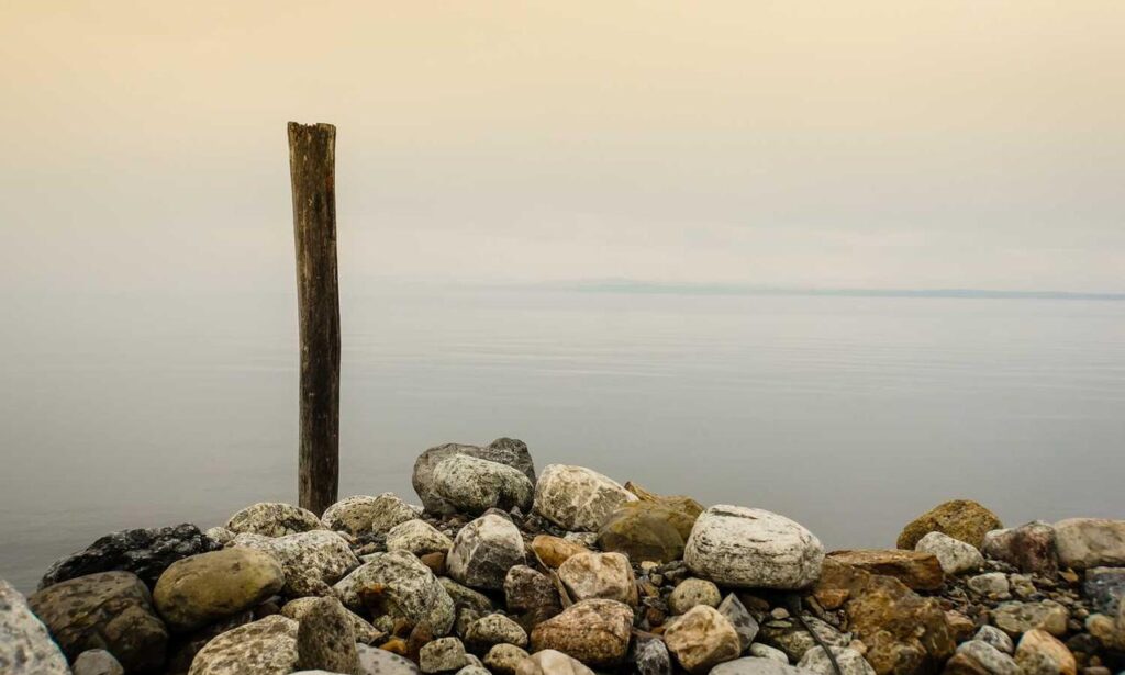 arcyhist fresh art updates by arcyart