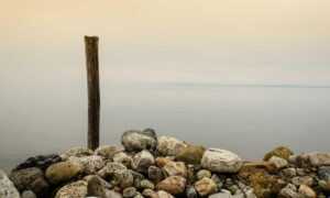 arcyhist fresh art updates by arcyart