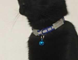 arcyhist latest painting directory from arcyart