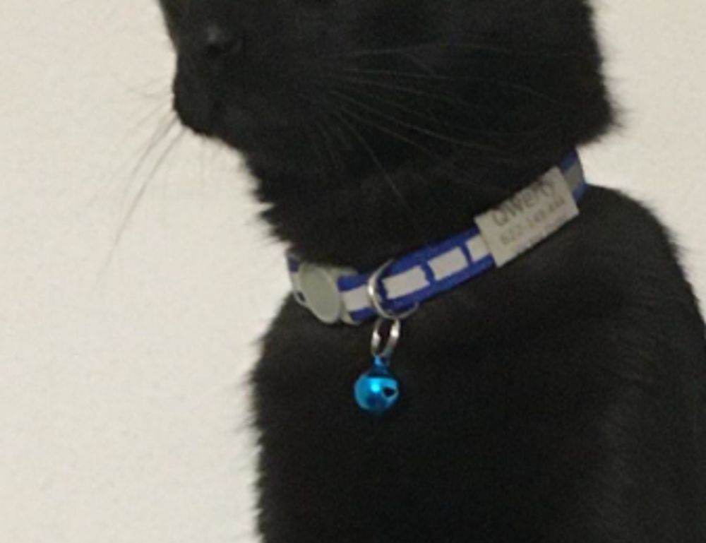 arcyhist latest painting directory from arcyart