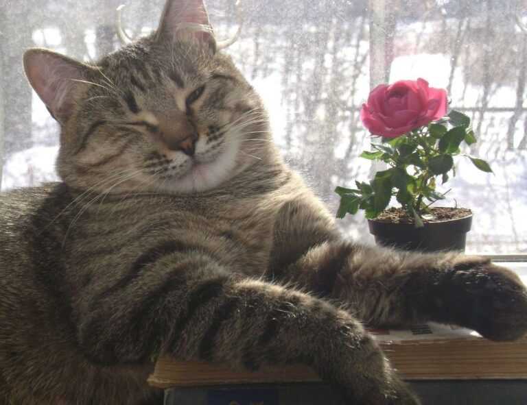 art articles artypaintgall