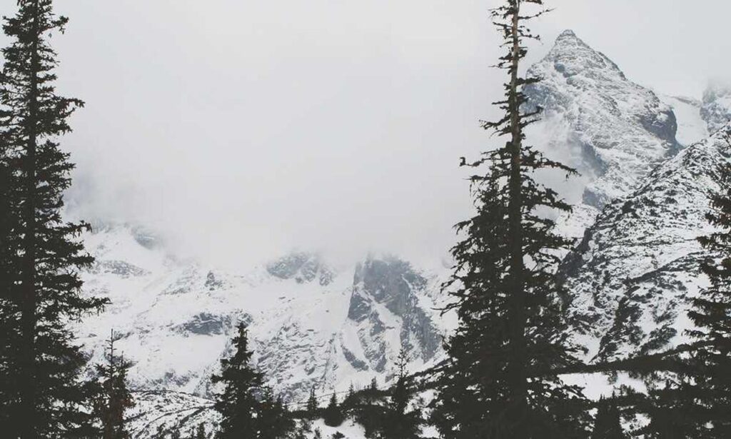 art directory arcahexchibto