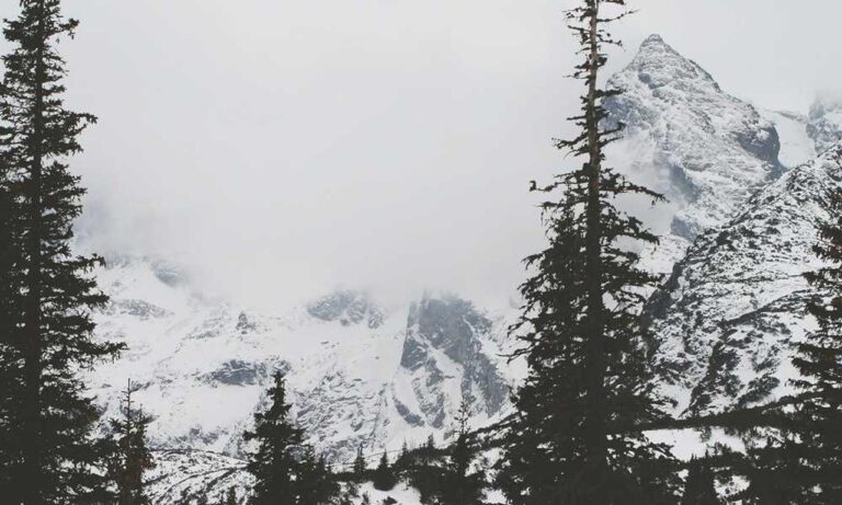 art directory arcahexchibto