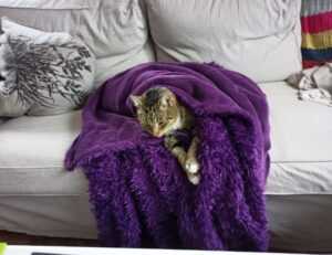 art directory artypaintgall