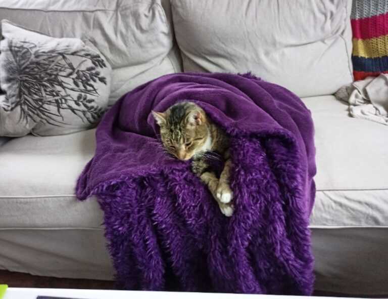 art directory artypaintgall