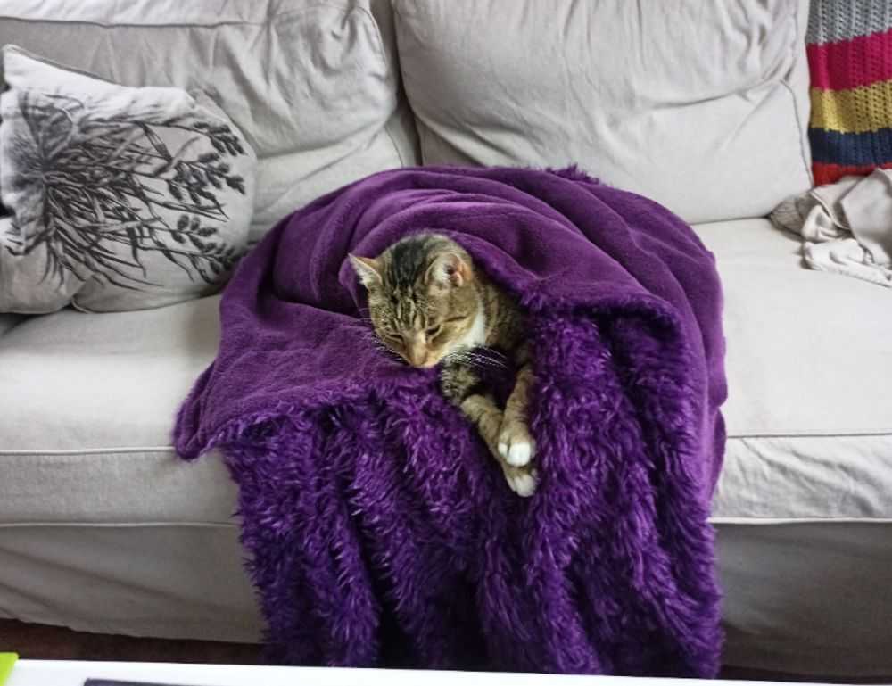 art directory artypaintgall