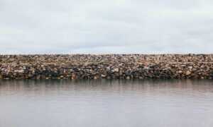 art listings artypaintgall