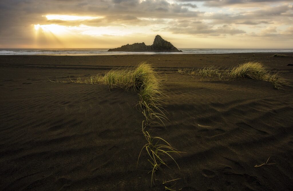 can canvas paintings be rolled arcahexchibto