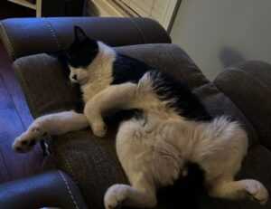 exhibition art arcachdir