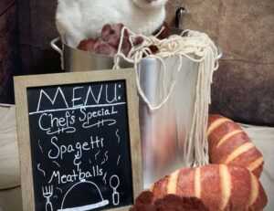 exhibition paint arcachdir