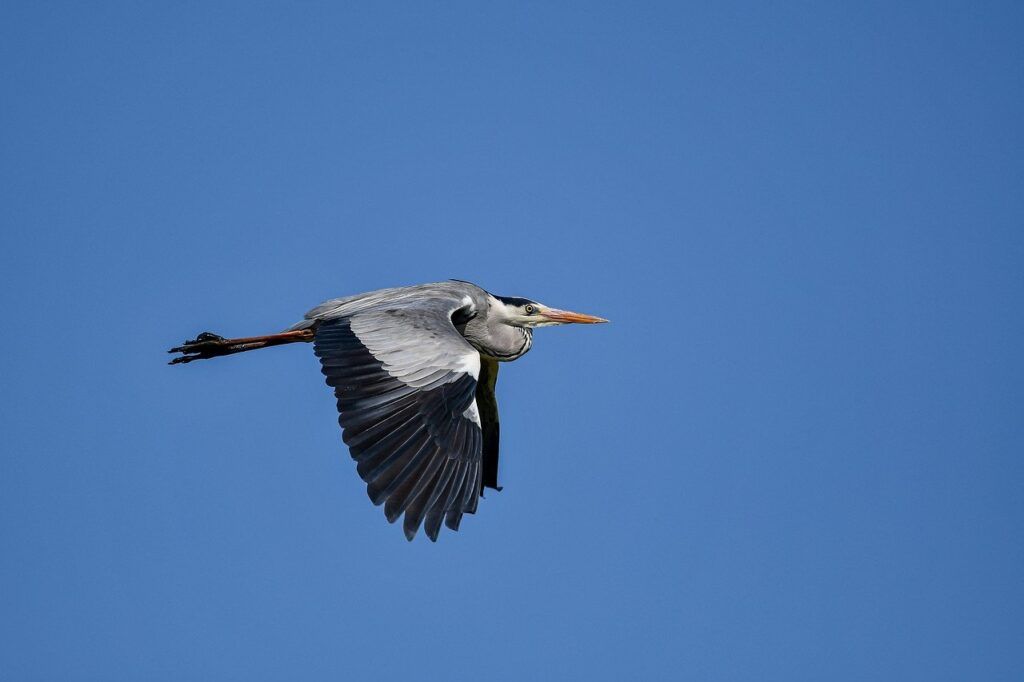 exhibitions arcyhist