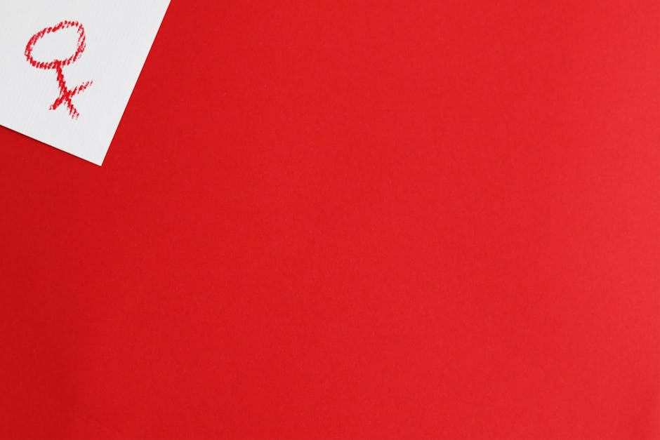 feminist art movement