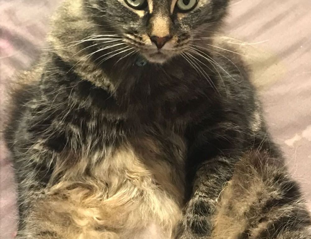 how do galleries hang paintings arcahexchibto