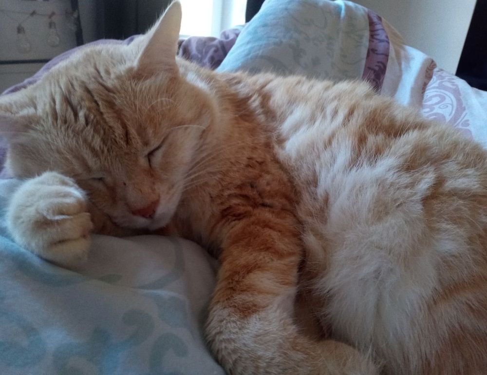 how to submit paintings to a gallery arcahexchibto