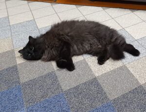 mark directory flpcrestation