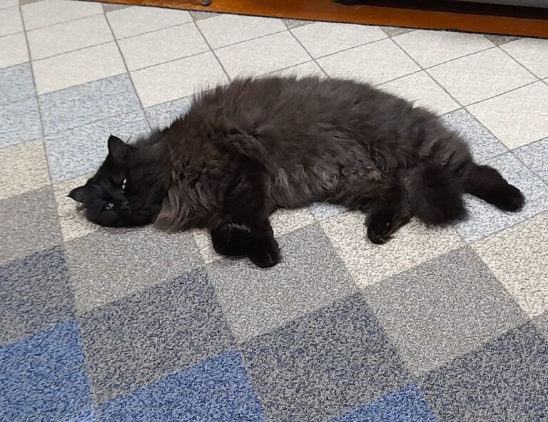 mark directory flpcrestation