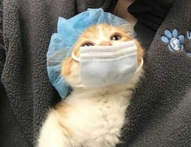 new fine art articles artypaintgall