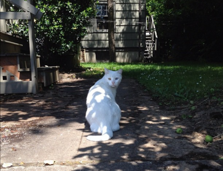 why do paintings sell for so much arcachdir