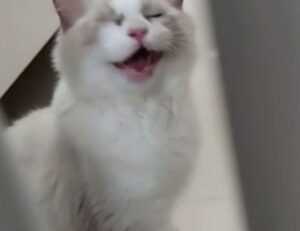 why painting is hard arcyhist