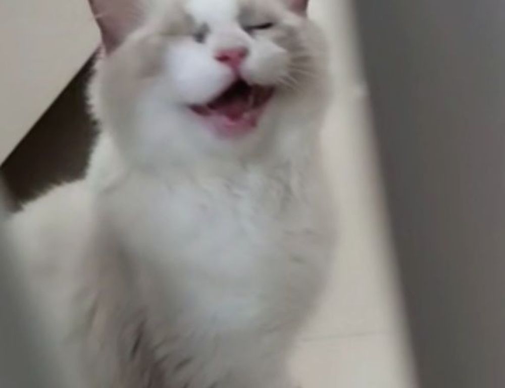 why painting is hard arcyhist