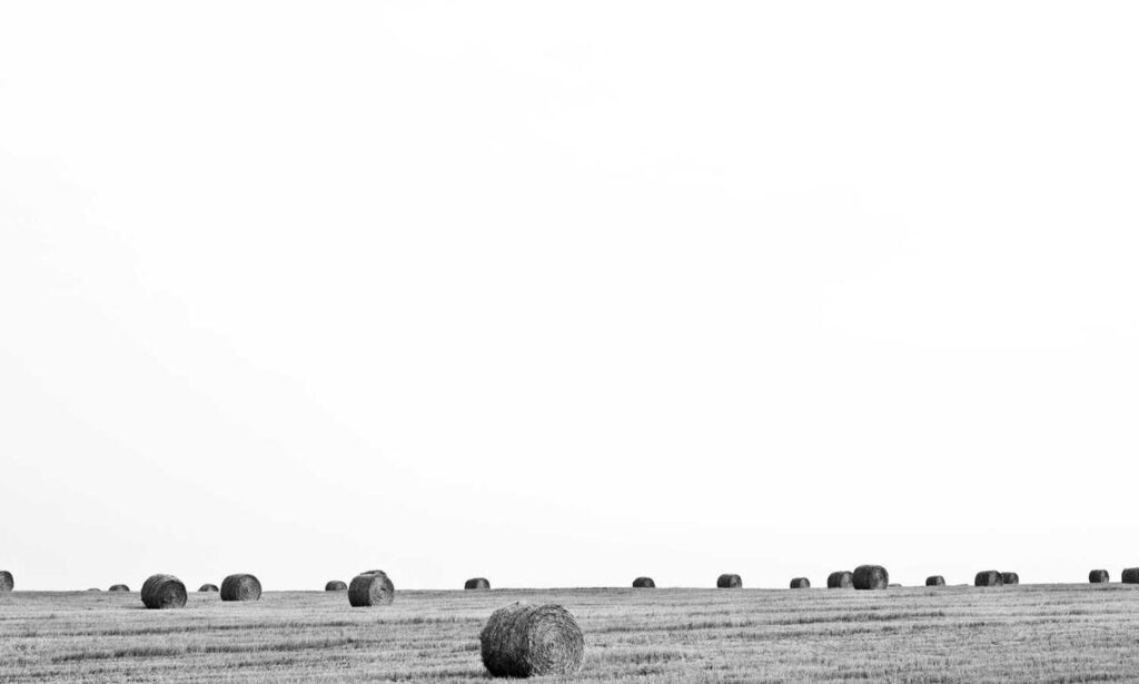 emmilyelizabethh leaks