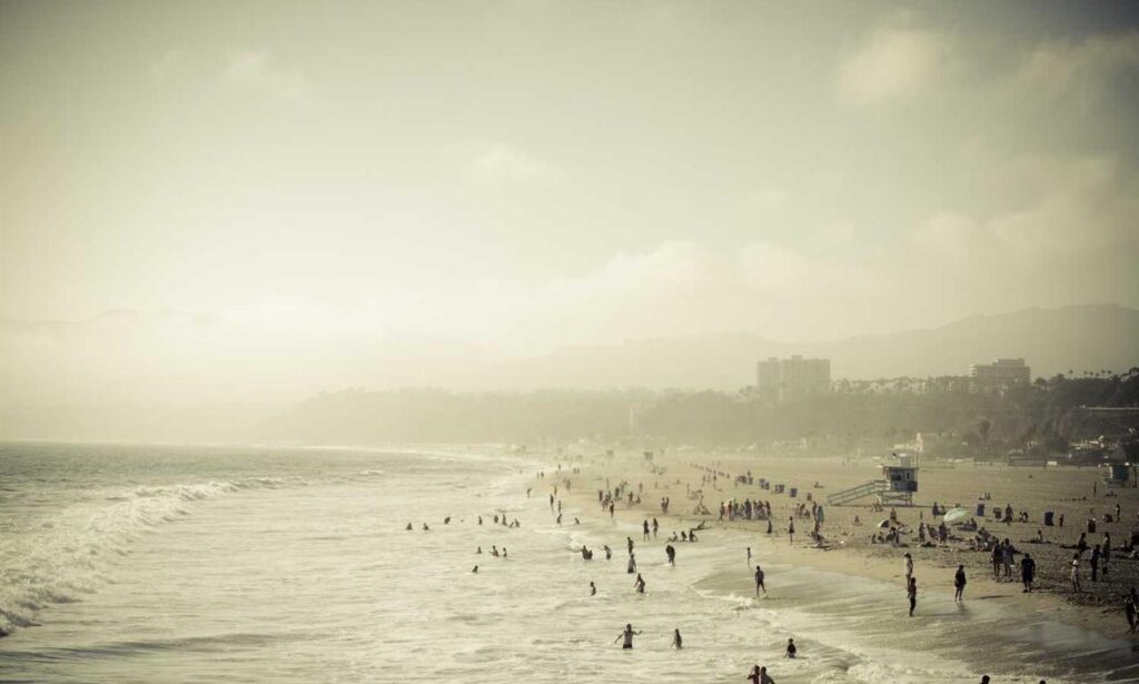 koleksi melayu twitter