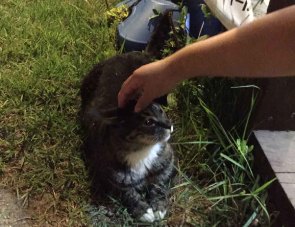 roblox poppetje kleurplaat