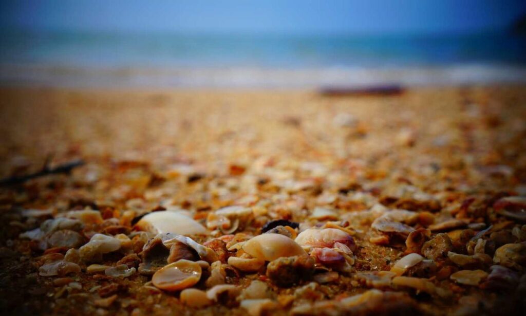 rodrigo riquelme dad