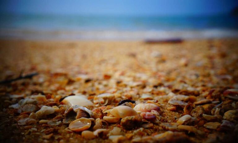 rodrigo riquelme dad