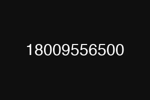 18009556500