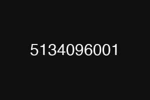 5134096001