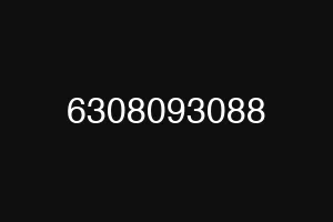 6308093088