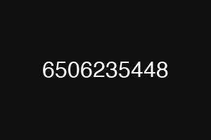 6506235448