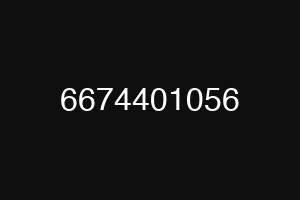 6674401056