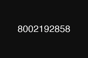 8002192858