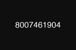 8007461904