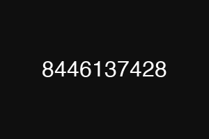 8446137428