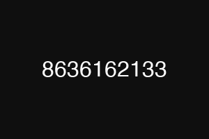 8636162133