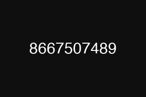 8667507489