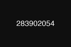 283902054